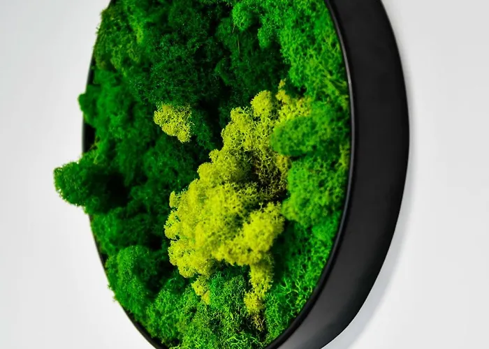 Loftas Smaragdas Apartment *